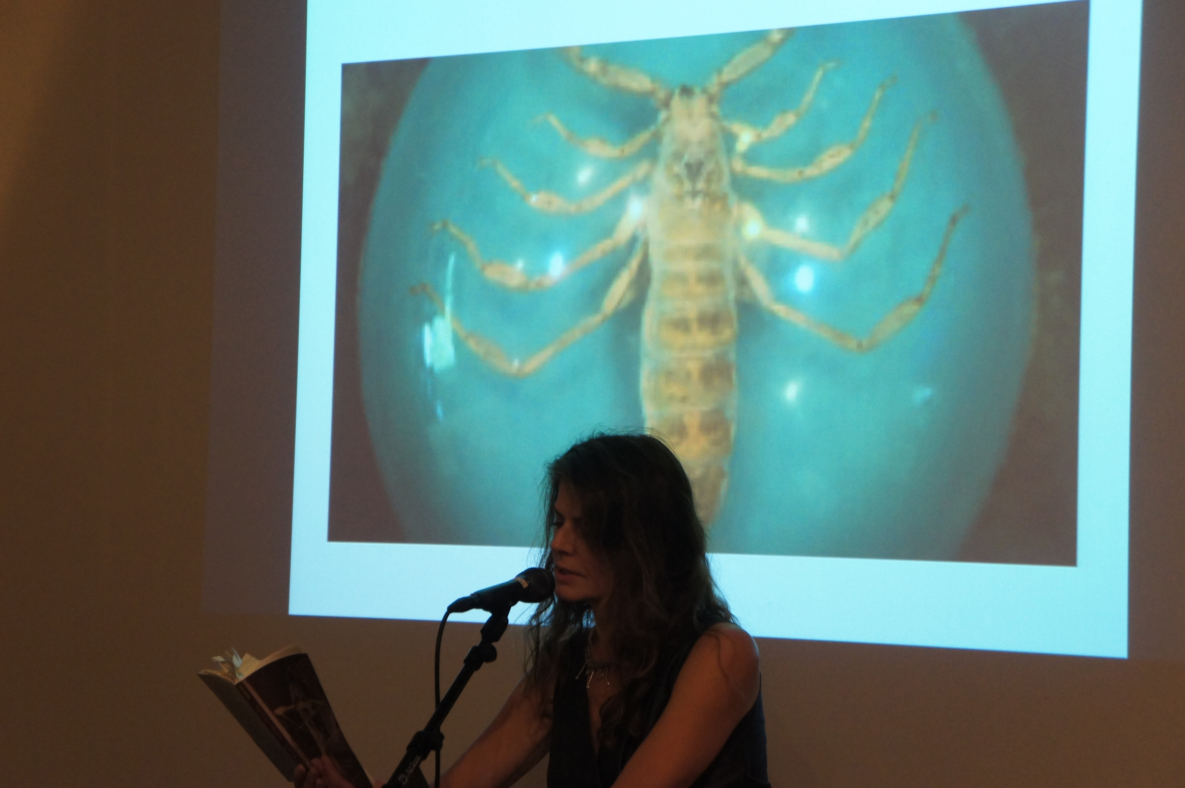 @Literary Arts recap: Eleni Sikelianos