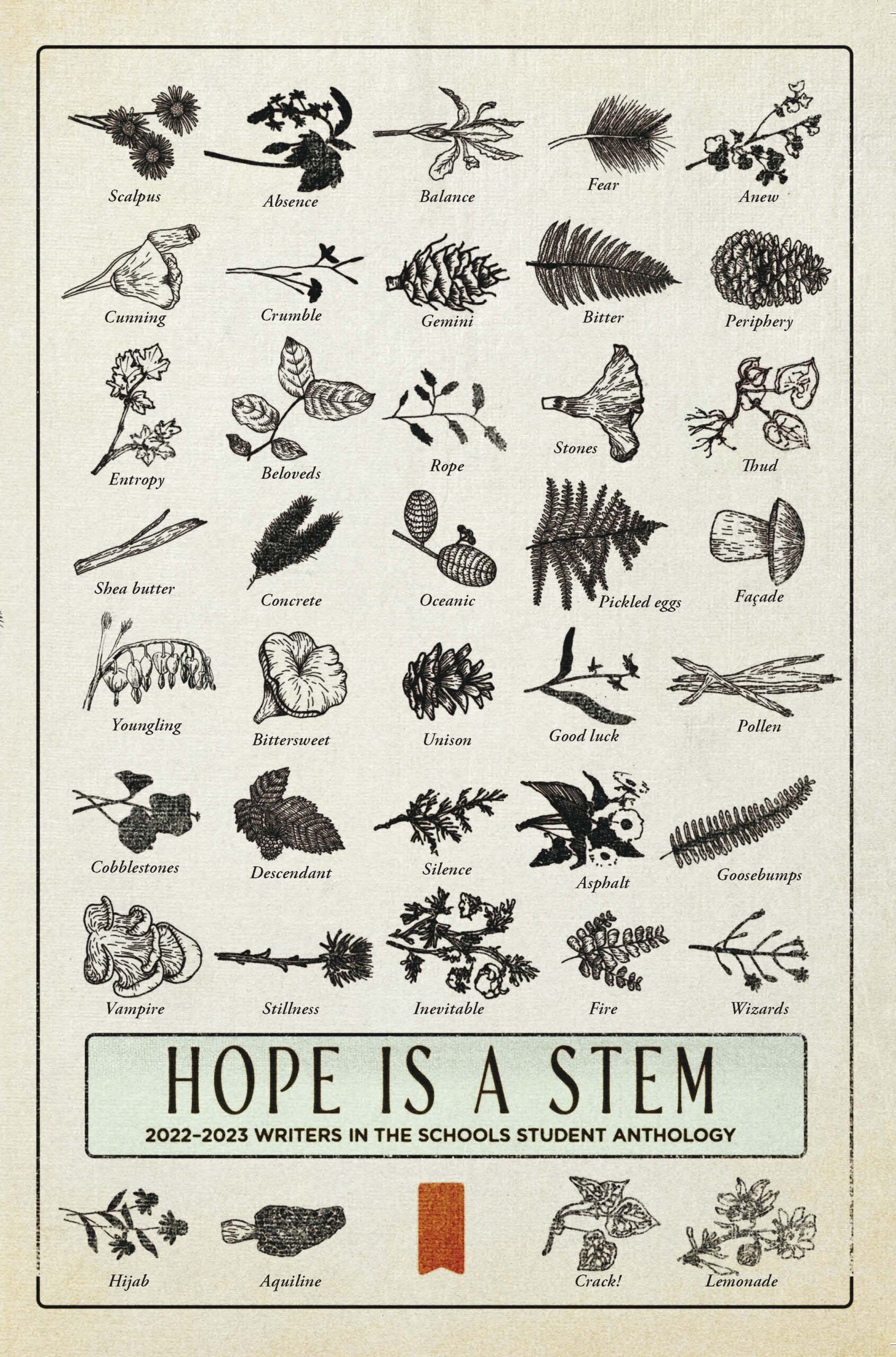 Hope is a Stem | 2022-23 WITS Student Anthology